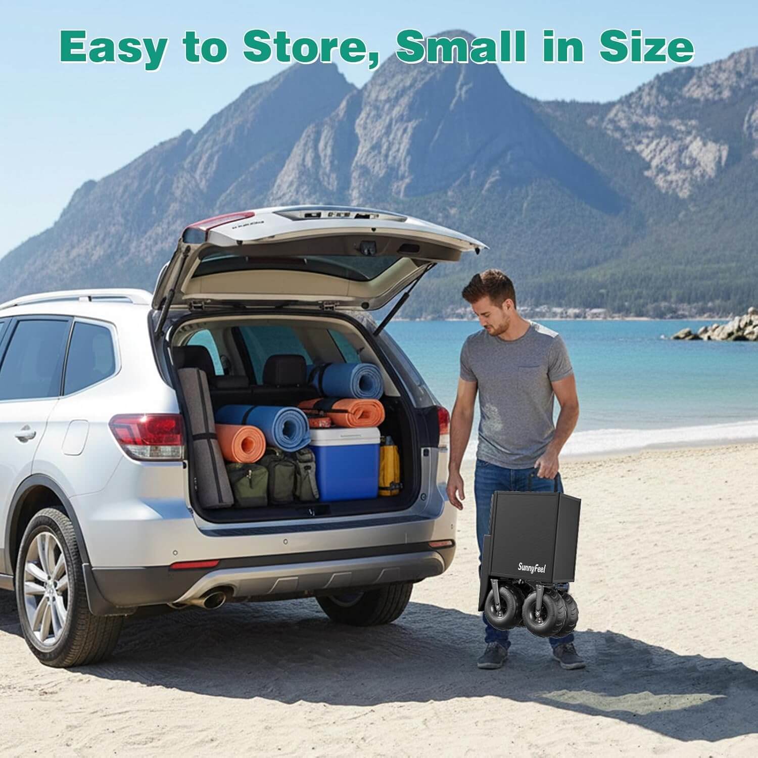 SUNNYFEEL Premium Beach Wagon with Balloon Wheels for Sand