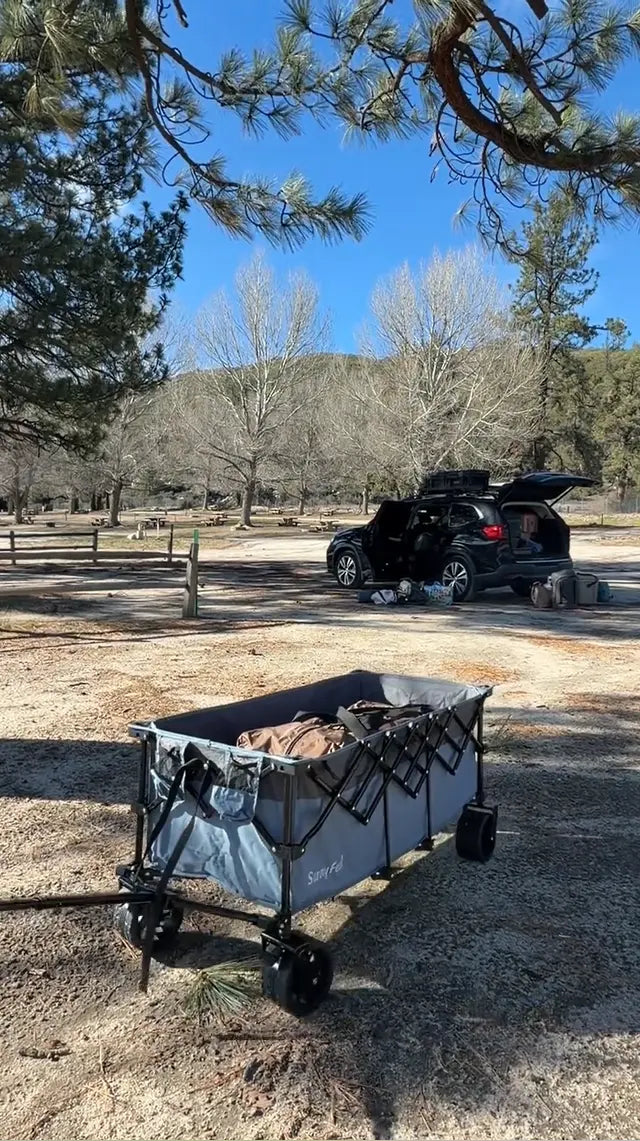 Wagon with camping gear in a natural setting with trees and mountains.
