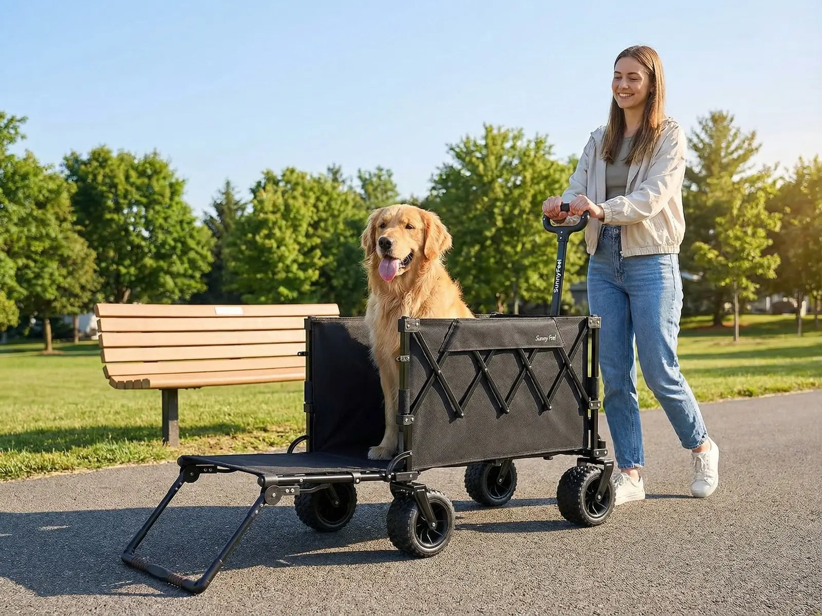 Woman pushing a cart with a dog on a path in a park